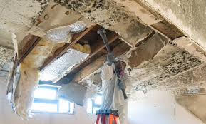 Best Mold Prevention Services  in Westwood, KS